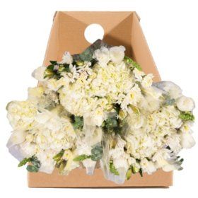 Mixed Farm Bunch, Simply White (8 bunches) - Sam's Club Sams Club Flowers, Diy Fall Wedding Bouquets, Mini Carnations, Wedding Flowers Hydrangea, Wedding Flowers Peonies, Wholesale Flowers Wedding, Red Bouquet Wedding, Wedding Flower Packages, Elegant Bouquet