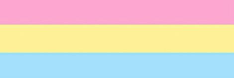 Banner For Twitter, Romantic Attraction, Pan Flag, Pansexual Flag, Banner Templates, Trans Pride, Space Place, Twitter Banner, Flag Banner