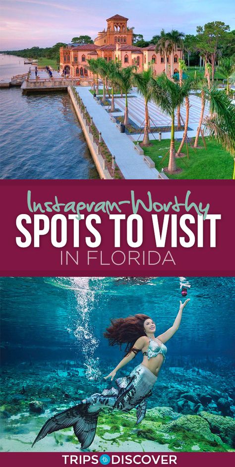 13 Most Instagram-Worthy Spots in Florida Orlando Instagram Spots, Florida Keys Travel, Florida Travel Destinations, Places In Florida, Florida Trip, Florida Photography, Tropical Gardens, Social Media Presence, Southwest Florida