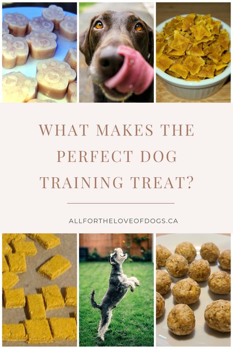 Training your dog through positive reinforcement takes a lot of patience, love, and of course, training treats. What makes the perfect training treat? Diy Training Treats Dogs, Homemade Training Dog Treats, Training Dog Treats, High Value Dog Treats Training, Turkey Dog Treats, Recall Training For Dogs, Puppy Training Schedule, Carrot Dogs, Turkey Dogs