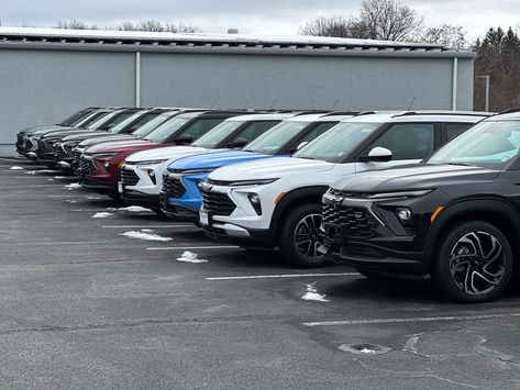 Check out this lineup of 2024 Chevy Trailblazers! 😎 What color is your favorite? 🎨

#HealeyBrothers #HudsonValley #HVNY #hudsonvalleyNY #Chevy #Trailblazer #chevrolet #chevrolettrailblazer Hudson Valley Ny, Chevy Trailblazer, Chevrolet Trailblazer, Vehicles For Sale, Hudson Valley, Cars For Sale, Chevy, Blazer, Vehicles