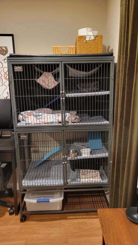 Aesthetic Ferret Cage, Ferret Cage Ideas Aesthetic, Ferret Play Area Ideas, Cute Ferret Cage Ideas, Mouse Cage Ideas, Ferret Room Ideas, Ferret Cage Ideas, Ferret Enclosure, Cage Aesthetic