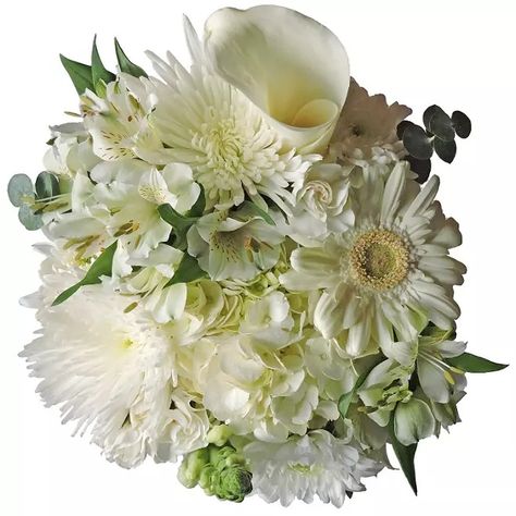 Member's Mark Mixed Farm Bunch, Simply White 8 bunches - Sam's Club Wilted Flowers, Flowers Last Longer, Mixed Bouquet, Mini Carnations, Wedding Flower Packages, Fresh Flower Bouquets, Star Of Bethlehem, Simply White, Flower Care