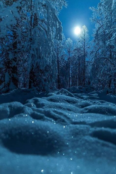 Soothing Pictures, Snow Night, Snow Fall, California Vacation, Winter Wallpaper, Winter Scenery, Winter Magic, Snow Scenes, Winter Pictures