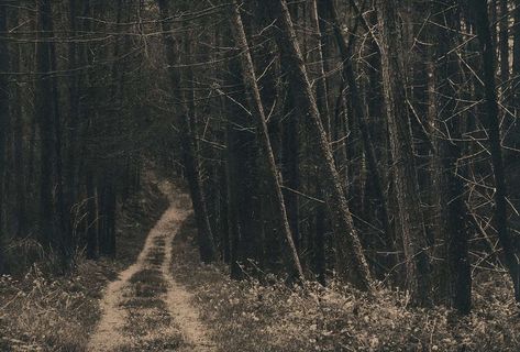 Hidden paths to hidden priests: The secret Mass trails of Ireland - CNA Blog Ireland Aesthetic, Irish Countryside, County Kerry, Location Inspiration, Visit Ireland, Irish History, Strange Places, Gothic Aesthetic, Small Village