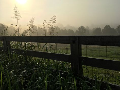 Farm Aesthetic Dark, Farm Aesthetic, Coral Island, Small Projects, Music Composers, Aesthetic Dark, Greek Gods, Simple Life, This Moment