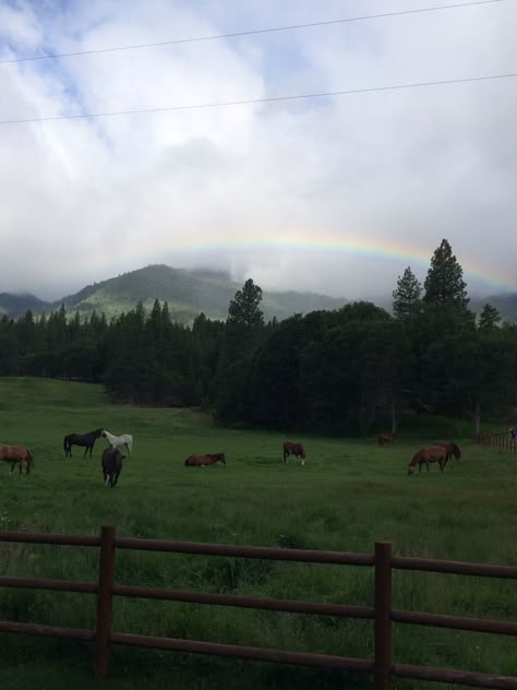 Montana Ranch Life Aesthetic, Dude Ranch Aesthetic, Canada Ranch Aesthetic, Ranch Landscape, Ranch Astethic, Ranch Aesthetic, Montana Ranch, Western Life, Future Farms