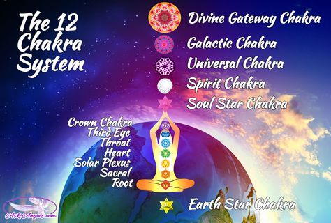 12 chakras Dna Activation, Usui Reiki, Chakra System, Lost My Job, Divine Light, Les Chakras, Chakra Meditation, Chakra Balancing, 7 Chakras