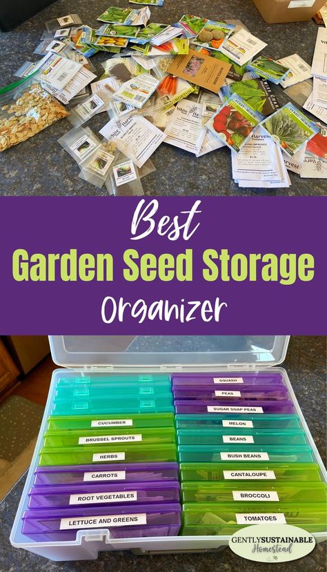 Seed Container Ideas, Garden Seed Storage Ideas, Organizing Gardening Supplies, Seed Organization Ideas, Seed Storage Organization, How To Save And Store Seeds, Garden Seed Organizer, Seed Storage Ideas, How To Store Seeds Long Term