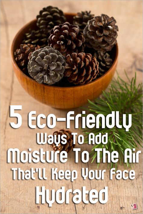 Natural Humidifier Diy, Add Moisture To The Air Home, Dry Air In House Remedies, Diy Humidifier Homemade, Housewife Hacks, Homemade Humidifier, Plant 101, Diy Humidifier, Humidifier Diy