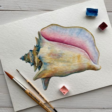 Conch Shell Watercolor, Shell Watercolor Painting, Conch Shell Drawing, Conch Shell Painting, Shell Watercolor, Watercolor Seashells, Yellena James, Shell Drawing, Ocean Treasures