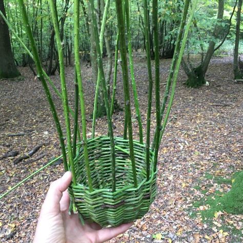 Bramble Baskets Course in Sussex with Native Hands Bramble Basket, Foraging Basket, Making Baskets, Rose Basket, You Perfect, Bell Tent, Wood Burner, Bramble, East Sussex