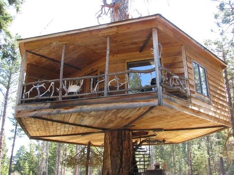 Luxury Tree Houses, Beautiful Tree Houses, Tree House Plans, Wood Yard Art, Tree House Diy, Woodland House, Cool Tree Houses, House Loft, House Shed