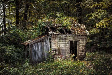 The Old Shack In The Woods - Autumn At Long Pond Ironworks State Park Photograph by Gary Heller Abandoned Shack, Shack In The Woods, Abandoned Nature, Reclaimed By Nature, Old Abandoned Houses, Abandoned Homes, Forgotten Places, Old Barns, Abandoned Buildings