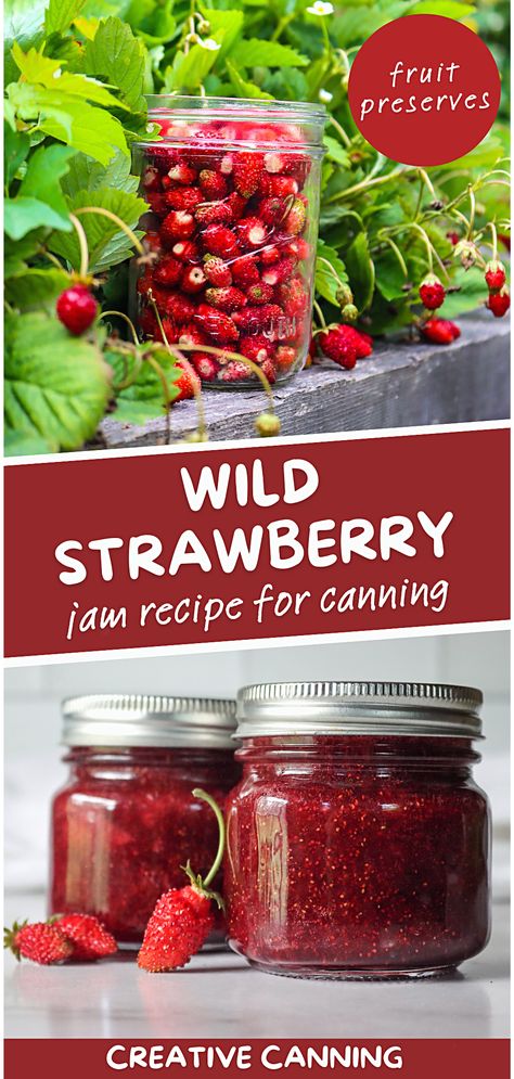 Indulge in the richness of wild strawberries with this canning recipe. Alpine strawberries, with their intense flavor, make the most delicious jam that is sure to be a hit. Spread it on fresh bread or use it in desserts; the possibilities are endless. Get ready to fall in love with this homemade goodness! Wild Strawberry Recipes, Fruit Preserves Recipe, Water Canning, Canning Fruit Recipes, Alpine Strawberry, Canning Jam Recipes, Alpine Strawberries, Fresh Strawberry Recipes, Canning Fruit