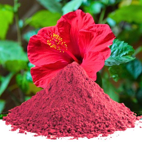 New! Hibiscus Flower Powder | Natural Organic Gudhal China rose Food Grade Herbal Tea was just added to eBay. Check it out! #eBay #eBaySeller Hibiscus Powder, Rose Food, Hibiscus Leaves, Rose Recipes, China Rose, Hibiscus Flower, Hibiscus Flowers, Herbal Tea, Natural Organic