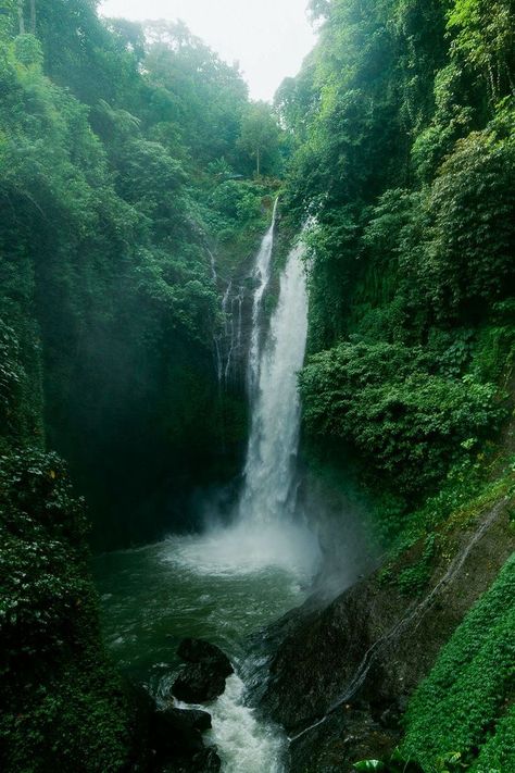 Lush Green Forest, Jungle Photography, Photography Forest, Waterfall Pictures, Forest Waterfall, Waterfall Photography, Pretty Landscapes, Forest Nature, Forest Photography