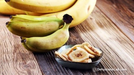 How to Dehydrate Bananas for the Best Dehydrated Banana Chips How To Dehydrate Bananas, Dehydrate Bananas, Oven Beef Jerky, Fruit Leather Dehydrator, Jerky Recipes Dehydrator, Baked Banana Chips, Dehydrated Banana Chips, Homemade Banana Chips, Dehydrated Bananas