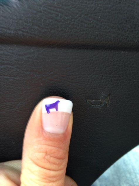 Livestock detail on fingernails! Showing Livestock Hairstyles, Ffa Nails, Showing Pigs, Showing Cattle, Livestock Showing, Cow Nails, Show Cattle, Showing Livestock, Fingernail Polish