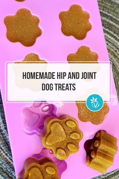 Age-related aches and pains got your dog slowing down? Don't let discomfort steal their zoomies! These homemade, tasty hip and joint dog treats are packed with beneficial ingredients to keep your canine companion moving freely and feeling their best. Dog Bakery Ideas, Baby Treats, Dog Treat Business, Pet Bakery, Homemade Pet Treats, Pet Treats Recipes, Treat Business, Natural Pet Care, Doggy Treats