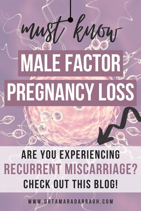 Male Fertility Diet, Recurrent Pregnancy Loss, Pregnancy Loss Awareness, Egg Retrieval, Fertility Boosters, Sperm Health, Fertility Help, Night Jar, Fertility Testing