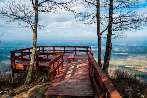 Tallulah Gorge, Cloudland Canyon, Airbnb Wedding, Places To Elope, Georgia Mountains, Hiking Spots, Beautiful Vacations, Georgia Usa, Elopement Ceremony