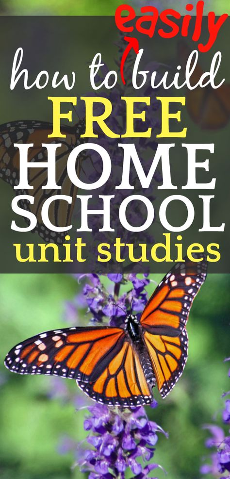 Homeschool Unit Studies, Science Unit Studies, Secular Homeschool, Kindergarten Units, Unit Studies Homeschool, Homeschool Middle School, Free Homeschool Curriculum, Free Homeschool Resources, Homeschool Elementary