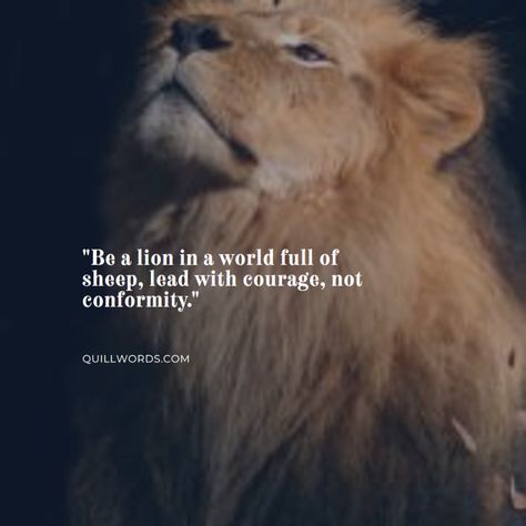 "A lion doesn't concern himself with the opinion of sheep." - Tywin Lannister A Lion Doesn't Concern Himself, Sheep Quotes, Sheep Quote, Lion Turtle, Turtle Quotes, Best Encouraging Quotes, Tywin Lannister, Lone Wolf Quotes, Lion Quotes