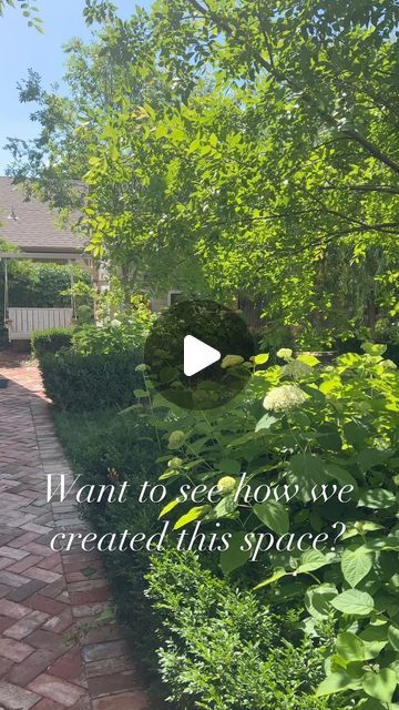 Emily Riter on Instagram: "When we bought this home the backyard was just a big patch of bermuda grass with some plantings along the perimeter. We wanted to have a big enough open space and at first I was hesitant to make the yard smaller with more plantings but as we designed the landscape we felt we were actually making several meaningful spaces. We found the form, definition, and height made it feel even larger. We now have several outdoor rooms & living spaces along with a carriage house in the same footprint as our one shapeless space before. We created the form using boxwood & thuja varieties to create the border around our hydrangeas and the outdoor walls that define each space. We also planted tons of Incrediball hydrangeas amidst the boxwood. Follow along as we unveil all the vari Thuja And Hydrangea, Big Grass Backyard, Incrediball Hydrangea, Hydrangea Landscaping, Bermuda Grass, Planting Hydrangeas, Carriage House, Outdoor Rooms, The Landscape