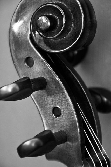 _-3-21 | lisbet photography | Flickr Violin Scroll, White Violin, Cello Art, Violin Photography, Violin Art, Violin Strings, Violin Music, Musical Art, Music Aesthetic