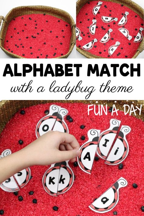 Explore early literacy skills with these printable ladybug letter puzzles! Even better, add them to a colorful ladybug sensory invitation. You can never have too many themed alphabet activities in preschool! Bugs Literacy Activities, Insects Literacy Activities Preschool, Ladybug Fine Motor Activities, Ladybug Letters, Bug Writing Activities Preschool, Ladybird Activities For Preschool, Ladybug Stem Activities, The Very Lazy Ladybug Activities, Insect Letter Activities Preschool