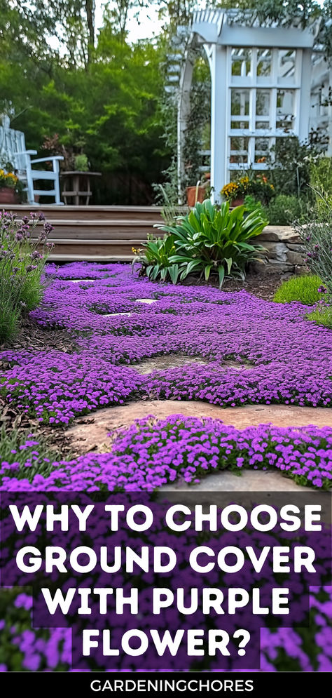 Why You Should Choose Ground Cover Plants with Purple Flowers Flowering Ground Cover Perennials, Plants With Purple Flowers, Lawn Design Ideas, Deck Gardens, Ground Cover Flowers, Unique Landscaping, Ground Cover Seeds, Purple Perennials, Spanish Courtyard