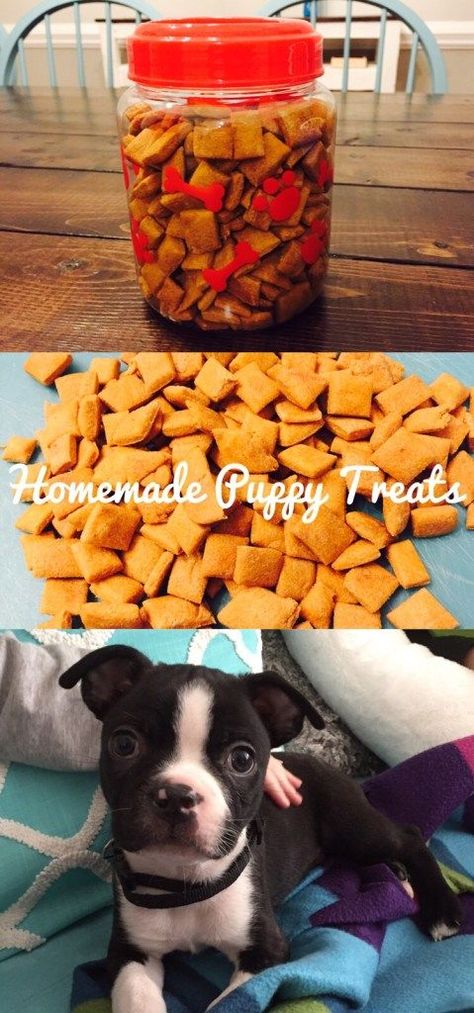 Easy to make Homemade Puppy Treats #puppytreats #puppylove #dogtreats #dogtraining #bostonterriers #bostonterrierpuppy Homemade Puppy Treats, Puppy Treats Homemade, Puppy Training Treats, Pet Treats Recipes, Healthy Dog Treats Homemade, Dog Treats Homemade Recipes, Dog Training Treats, Easy Meal Ideas, Dog Business