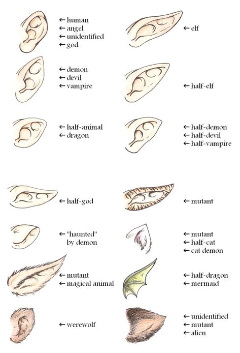 Unusual Dolls, Ako Kresliť, Anatomy References, Drawing Things, 얼굴 드로잉, Fantasy Drawings, Drawing Stuff, 판타지 아트, Drawing Tutorials