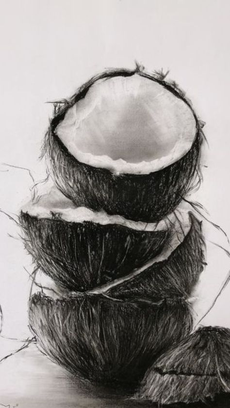 Charcoal Fruit Drawing, Coconut Pencil Drawing, Nature Object Drawing, Natural Objects Drawing, Coconut Sketch, Charcoal Art Easy, Coconut Drawing, Flower Sketch Pencil, Paintings Wall Decor