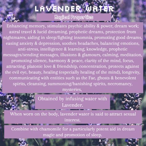 Lavender Water Magical Uses & Properties Lavender Properties Magic, Lavender Magical Uses, Lavender Properties Witchcraft, Magical Water Properties, Magical Properties Of Lavender, Lavender Magical Properties, Lavender Witchcraft Uses, Lavender Properties, Water Magick