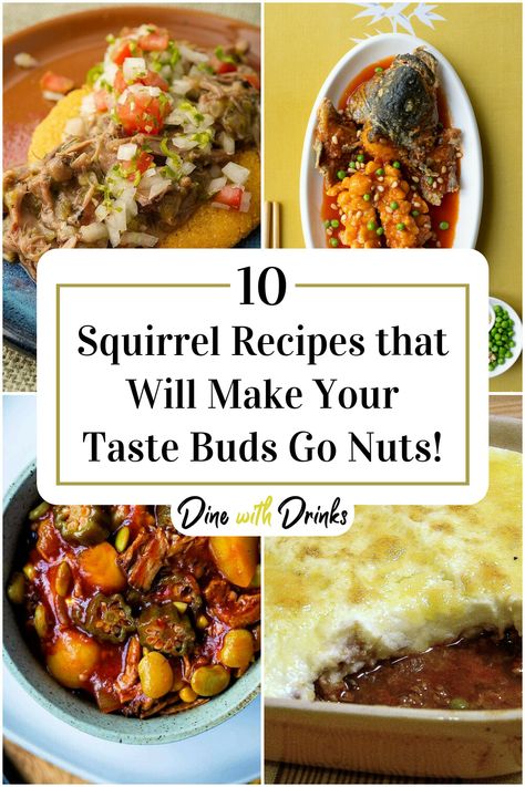 Collage of 4 squirrel recipes. Grilled Squirrel Recipes, How To Cook Squirrel, Cooking Squirrel Recipes, How To Cook Squirrel Recipes, Squirrel Recipes Easy, Squirrel Meat Recipes, Squirrel Recipes Crockpot, Crock Pot Squirrel Recipe, Cooking Squirrel