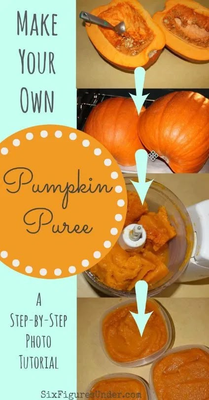 Make Pumpkin Puree, Big Pumpkin, How To Make Pumpkin, Never Go Back, Best Pumpkin, Canned Pumpkin, Food Processor, Canning Recipes, Pumpkin Puree