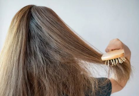 Why Your Hair Is Dry and Falling Out and How to Fix It | Livestrong.com Dry Hair Care, Dry Brittle Hair, Aging Hair, Thickening Shampoo, Pattern Baldness, Brittle Hair, Hair Transplant, Katie Holmes, Hard Water