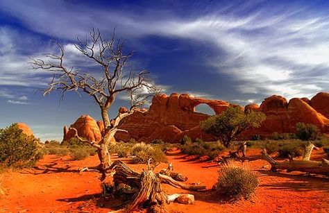 Great Victorian Desert Australian Desert, Australia Landscape, Outback Australia, Desert Life, Moab Utah, Red Rocks, Utah National Parks, Arches National Park, Foto Art