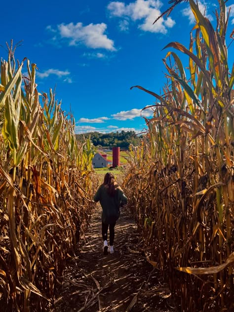 Corn Maze Fall, Halloween Corn Maze, Fall Carnival Aesthetic, Fall Date Ideas Aesthetic, Corn Maze Date, Fall Festival Aesthetic, Hayride Aesthetic, Corn Maze Aesthetic, Corn Maze Photoshoot