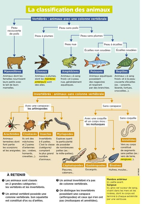 French Language Learning, Cycle 3, French Language, Zoology, Teaching Science, Learn French, Staying Alive, Permaculture, Natural History