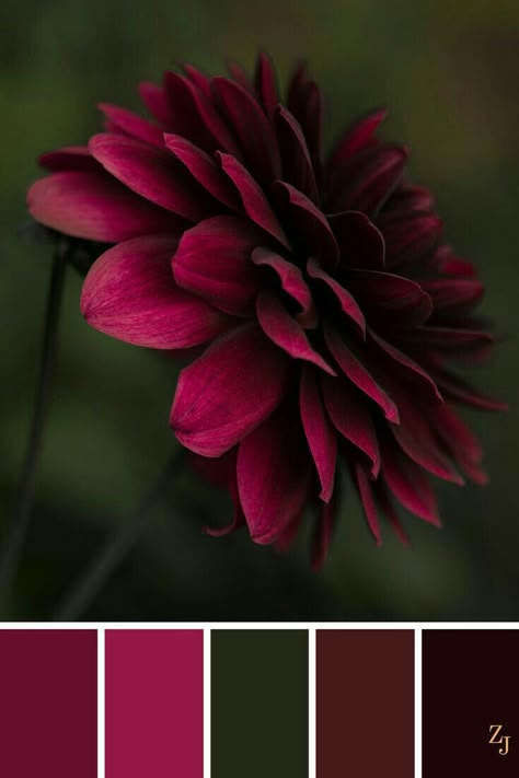 Pallet burgundy wine berry Nail Geometric, Red Colour Palette, Color Schemes Colour Palettes, Geometric Nail, Color Palate, Color Balance, Color Inspo, Colour Palettes, Malbec