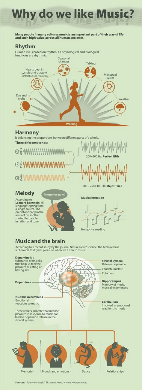 Music And The Brain, Music Appreciation, Music Ed, Piano Teaching, I'm With The Band, Elementary Music, Music Classroom, Types Of Music, Teaching Music