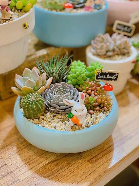 Mini Succulent Pots, Cactus Pots Ideas, Succulents Bowl, Mini Cactus Garden, Mini Succulent Garden, Diy Succulent Terrarium, Succulent Bowls, Succulent Garden Design, Succulent Garden Diy