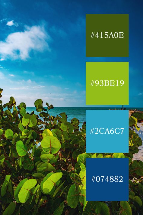 Coastal Greenery with Ocean View: Lush green leaves frame a view of the serene blue ocean and a partly cloudy sky. The blue and green color palette here highlights the vibrant contrast between the lush coastal vegetation and the expansive seascape. Coastal Greenery, Lime Color Palette, Green And Blue Palette, 4 Color Combos, Blue Green Palette, Blue Green Color Palette, Color Scheme Generator, Blue Color Palettes, Light Blue Color Palette