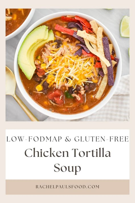 Fodmap Crockpot Chicken, Low Fodmap Fall Soup, Gluten Free Dairy Free Chicken Tortilla Soup, Low Fodmap Tortilla Soup, Low Fodmap Shredded Chicken Recipes, Low Fodmap Fajitas, Fodmap Vegetable Soup, Gluten Free Tortilla Soup, Low Fodmap Chicken Tortilla Soup