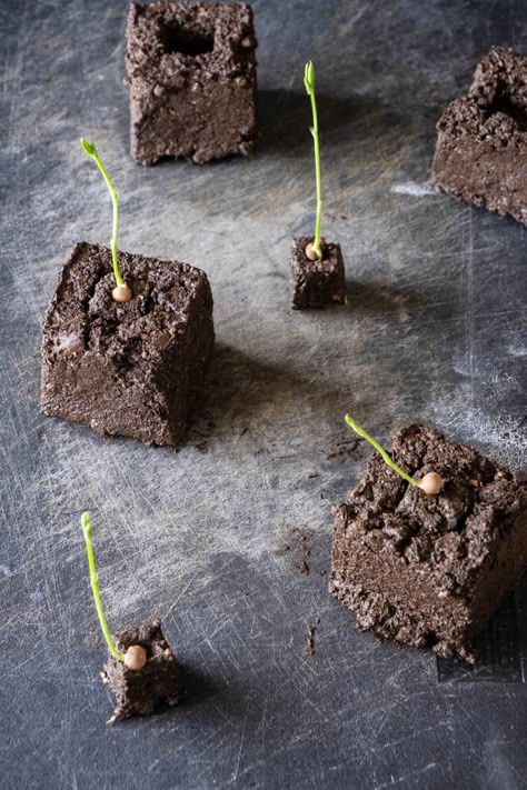 Soil Art Painting, Soil Art, Soil Blocking, Soil Blocks, Chocolate Soil, Forest Book, Nature Connection, Building Sand, Starting Seeds