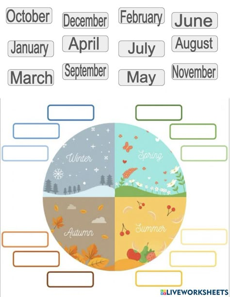 Months and seasons interactive worksheet for 3-12. You can do the exercises online or download the worksheet as pdf. Seasons Activities Worksheets, Day Of Week Activities, Months And Seasons Worksheet, Months And Seasons, Months Worksheet For Kids, Month Worksheet, Months Of The Year Activities, Seasons Worksheets For Kids, Months Of The Year