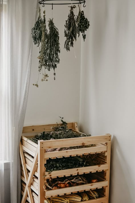 Green House Organization Ideas, Homestead House Decor, Herb Room Ideas, Herbal Room Ideas, Herbalist Home Aesthetic, Homesteading Aesthetic Kitchen, Homestead Kitchen Aesthetic, Homestead Astethic, Homestead Home Decor